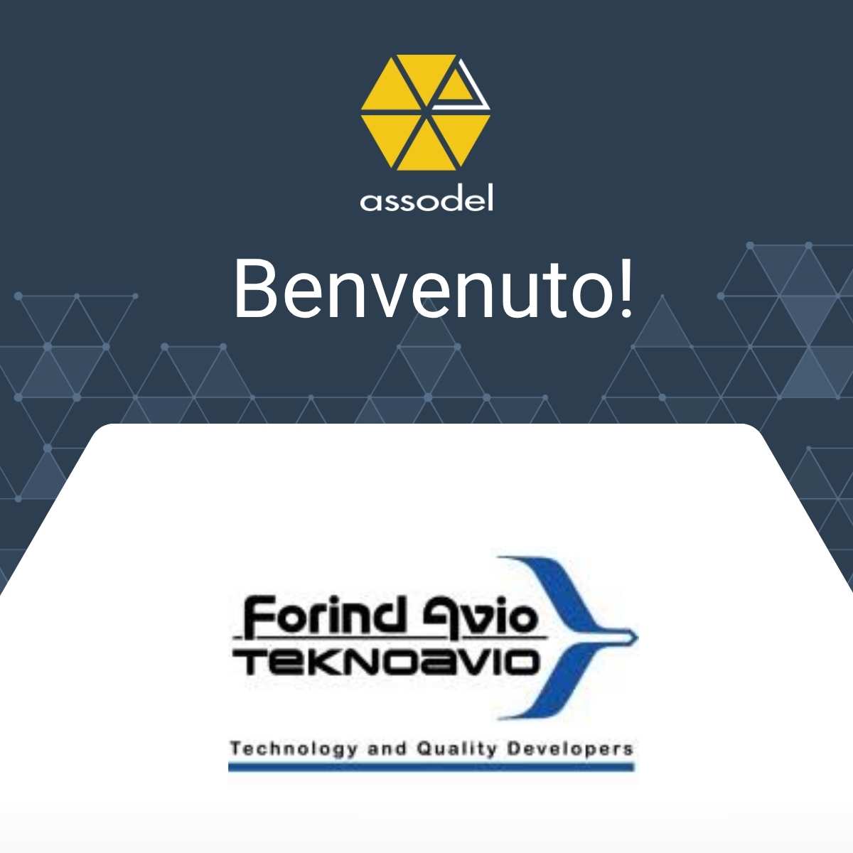 Forind Avio Elettronica al servizio dell’elettronica avanzata